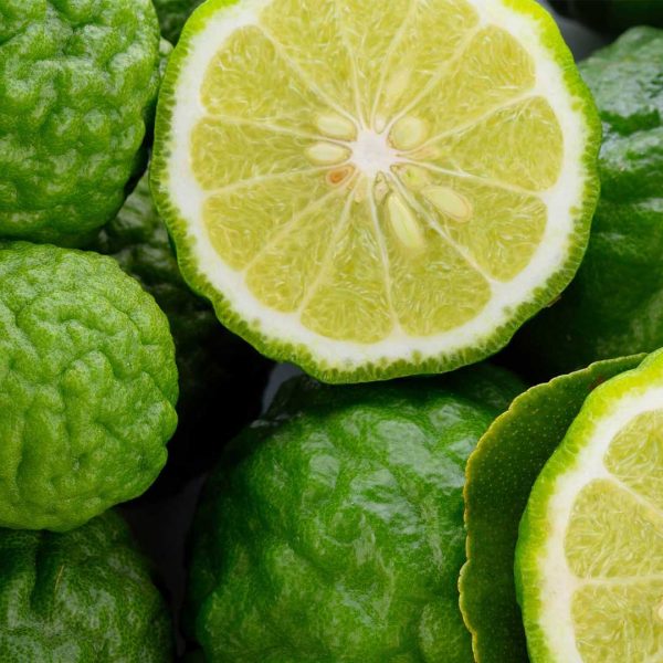 Bergamot Spice