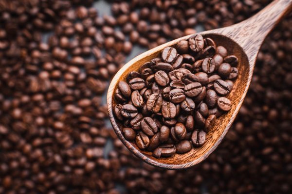 Coffee Robusta
