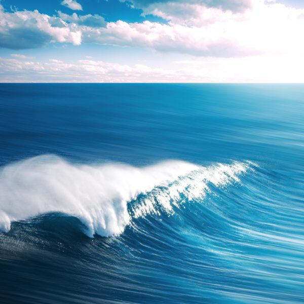 Fresh Blue
